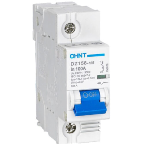 DZ158-125H-1P-100A-10kA-CHINT ELECTRIC