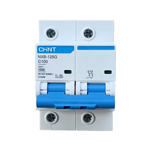 NXB-125-2P 100A 10kA MCB CHINT ELECTRIC
